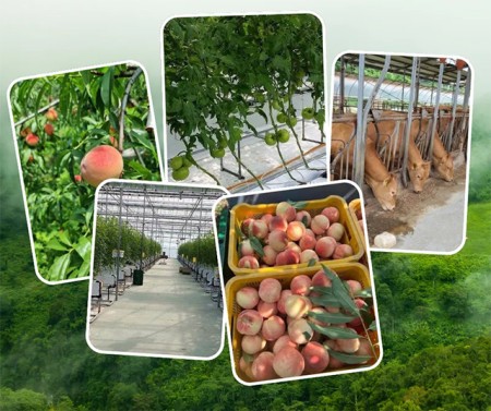 บริการ ประกาศ งานประเทศเกาหลีใต้ งานสวนประเทศออสเตรเลีย งานประเทศอิสราเอล รับจัดหางาน ไม่หลอกลวงทำงานต่างประเทศถูกกฎหมาย