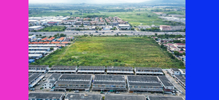 ขาย ที่ดิน ใกล้โลตัสบ้านบึง ที่ดินชลบุรี30ไร่ ติดถนน344 เหมาะทำหมู่บ้าน ราคาถูกสุด